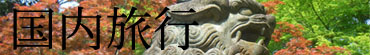 国内