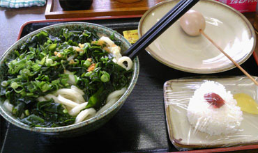 わかめうどん