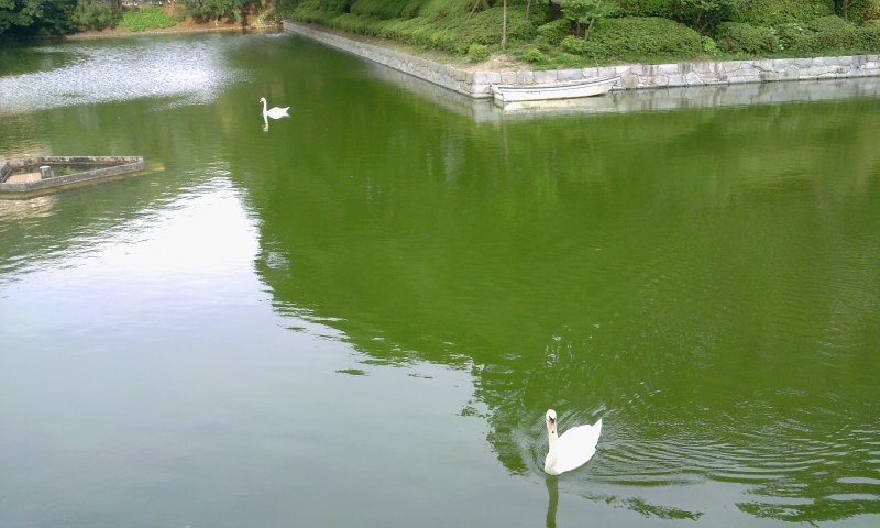 お堀