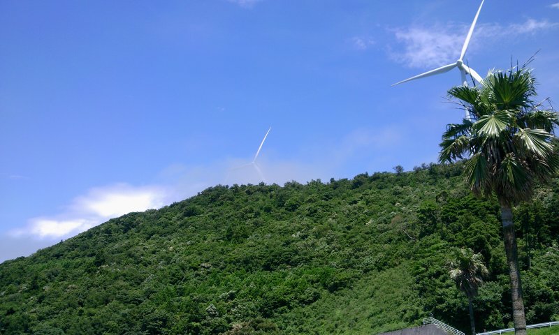 展望台から
