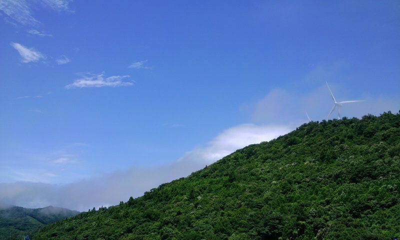展望台から