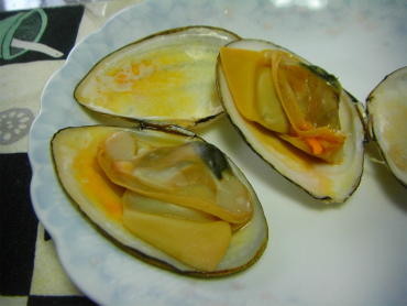 白貝中身