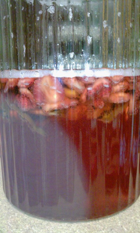 フルーツ酵素