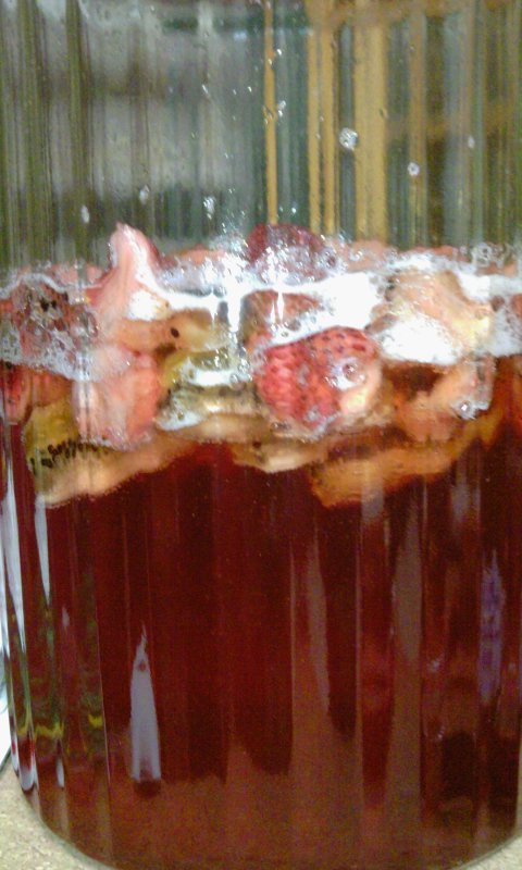 フルーツ酵素