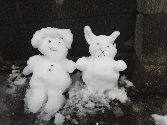 ゆきだるセット
